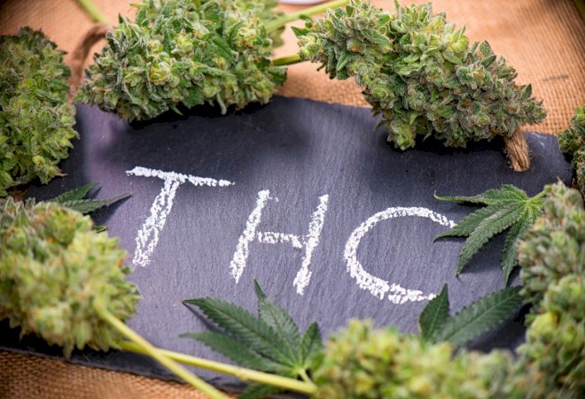 Cannabis-Legalisierung: Neuer THC-Grenzwert am Steuer